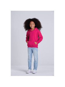 Youth Hooded Sweatshirt